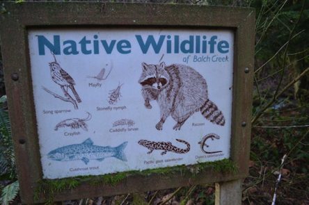 Informational signage on native wildlife
